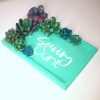 il_fullxfull.7629612689_o1ro-1 Trinket Dish With Succulent Accents - Handmade Serving Cunt Vanity Tray - Quirky Feminist Decor – Say It Louder – Handmade By Shessocrafty Goods