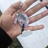 il_fullxfull.7629616057_4c6y Opalite Bag Charm | Glow In The Dark Lightning Strike Keychain | Custom Engraved Gift – Keychains – Handmade By Shessocrafty Goods