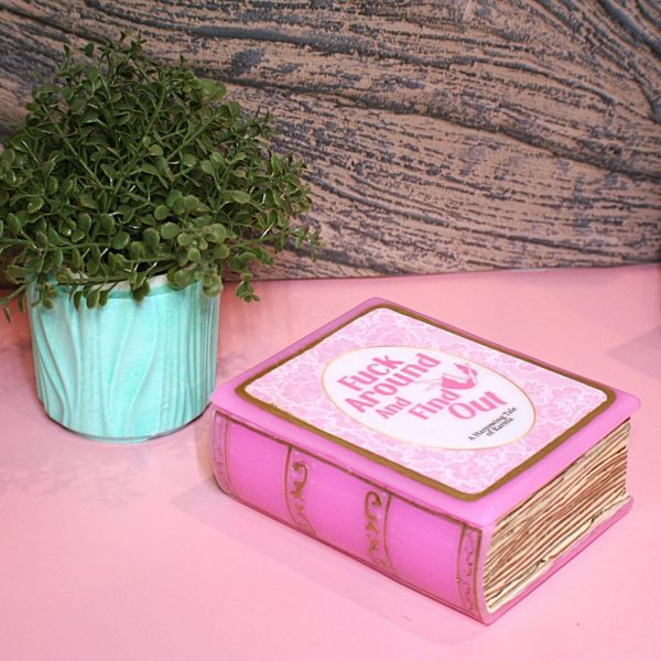 il_fullxfull.7629623347_m6fu-1 Resin Book Box: 'Fuck Around And Find Out - Handcrafted Storage For Book Lovers – Bookish – Handmade By Shessocrafty Goods