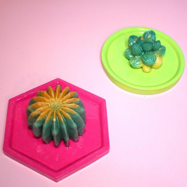 Cactus &Amp; Succulent Trinket Dish | Ring Dish | Decorative Tray – Your Choice Of Style! – Home Decor – Handmade By Shessocrafty Goods