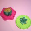 Cactus &Amp; Succulent Trinket Dish | Ring Dish | Decorative Tray – Your Choice Of Style! – Home Decor – Handmade By Shessocrafty Goods