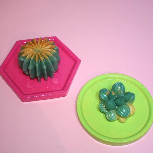 Cactus &Amp; Succulent Trinket Dish | Ring Dish | Decorative Tray – Your Choice Of Style! – Home Decor – Handmade By Shessocrafty Goods