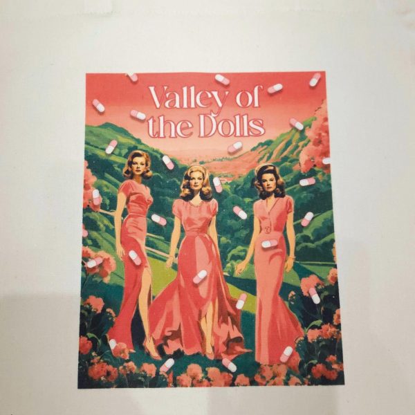 il_fullxfull.7777701038_o283 Valley Of The Dolls Tote Bag, Retro 60S Canvas Book Lover Accessory – Bookish – Handmade By Shessocrafty Goods